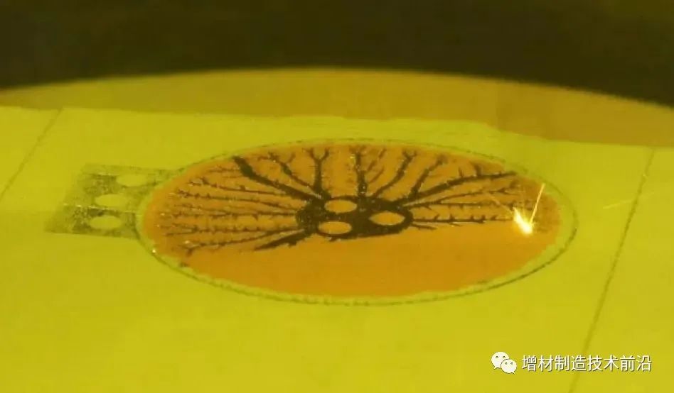 202310181314369146.jpg 202310181314369146.jpg