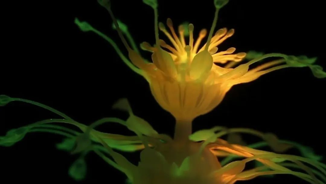 202310251510075073.jpg 202310251510075073.jpg