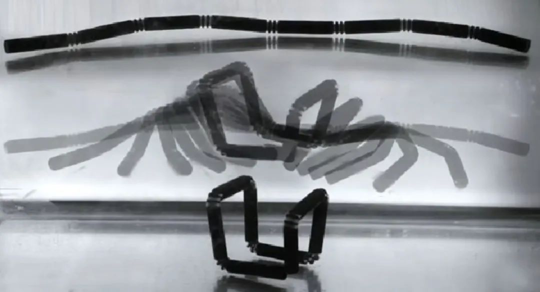 202310251511201222.jpg 202310251511201222.jpg