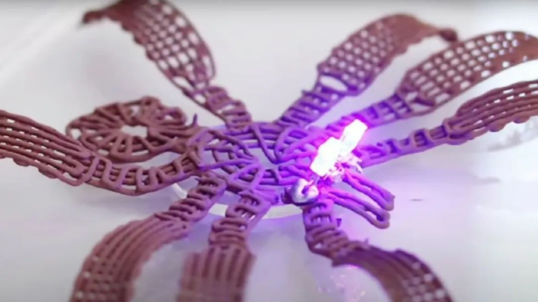 202310251511367161.jpg 202310251511367161.jpg