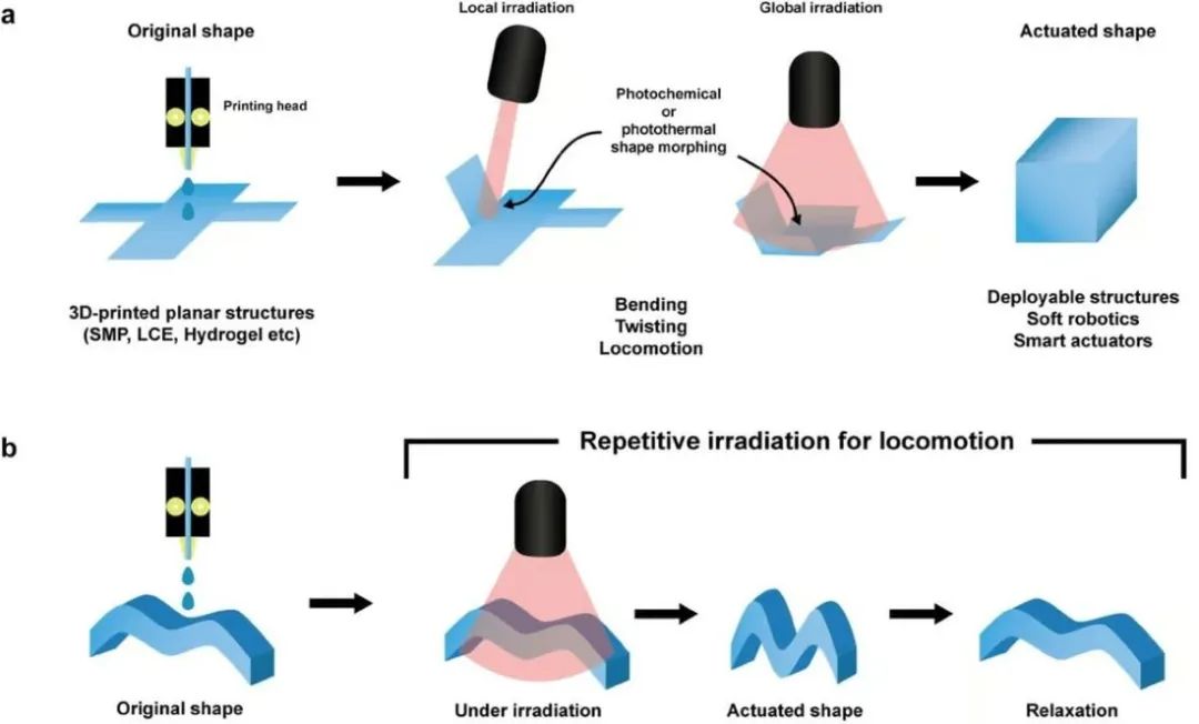 202310251511501516.jpg 202310251511501516.jpg