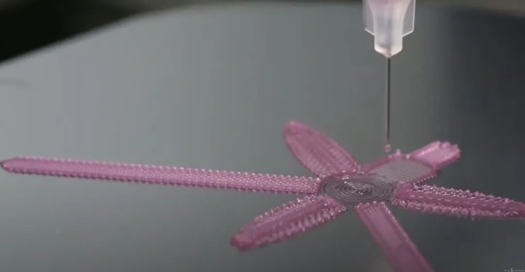 202310251512012262.jpg 202310251512012262.jpg