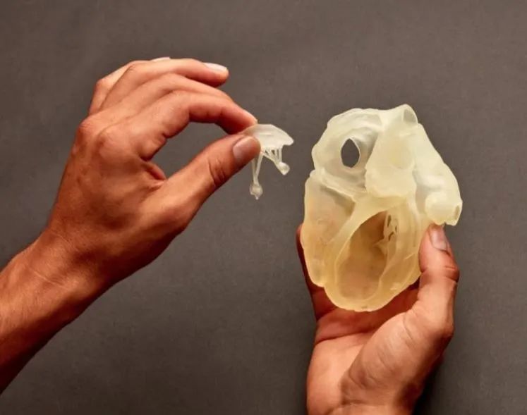 202401101407451322.jpg 202401101407451322.jpg