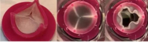 202401101408389610.jpg 202401101408389610.jpg