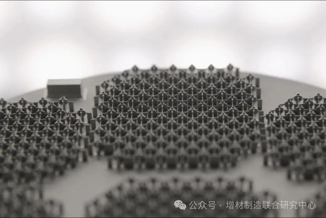 202608241313231098.jpg